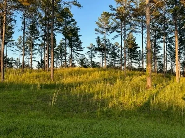 1362 High River Rd Lot 11, Ellijay, GA 30540