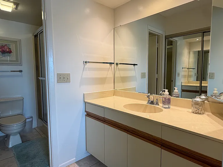 Primary bathroom w/ walk-in shower
