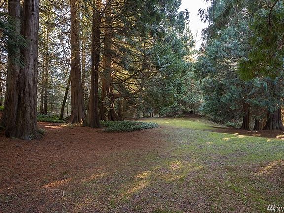 PASTORAL SETTING WITH HUGE CEDAR TREES TO WALK BETWEEN AND ENJOY !