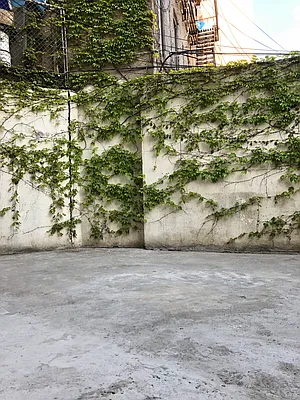 Rented by Richard Macias, LREB | media 2