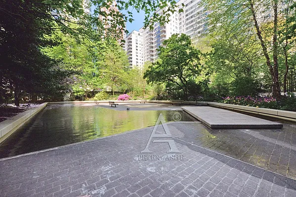 Rented by Peter Ashe | media 15