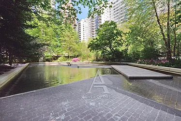 Rented by Peter Ashe