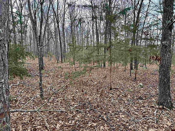 5th image of 001-09782-000 Redbird Ln