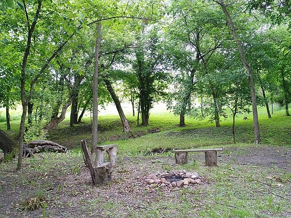 Behind the second tree line