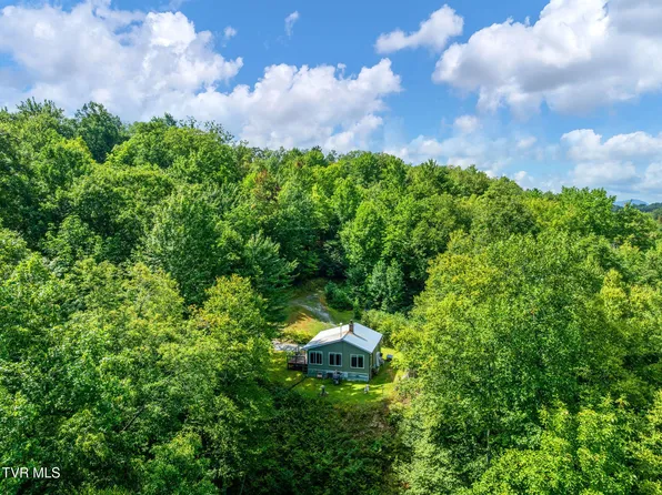 1887 Dennis Cove Rd, Hampton, TN 37658