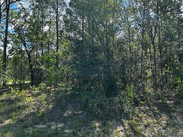 2nd image of 7211 N Tallwood Dr