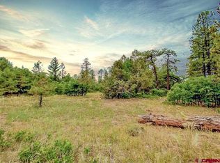 193 Allison Pl, Pagosa Springs, CO 81147