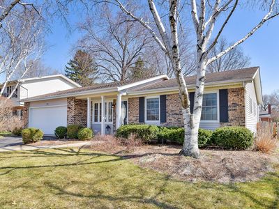 1716 Clyde Dr, Naperville, IL, 60565