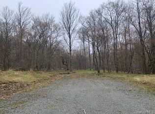 Old Hunter Rd, Livingston Manor, NY 12758