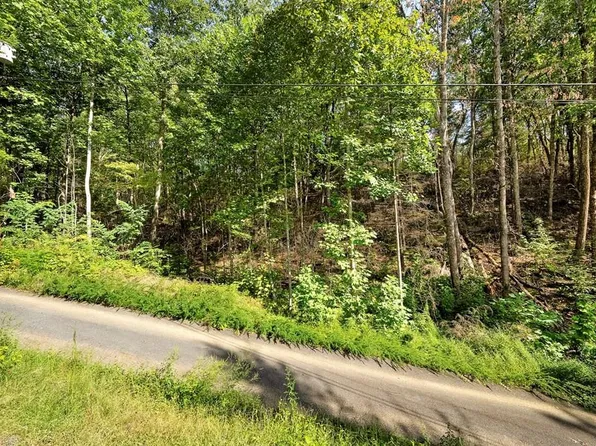 1272 Raymond Hollow Rd, Sevierville, TN 37876