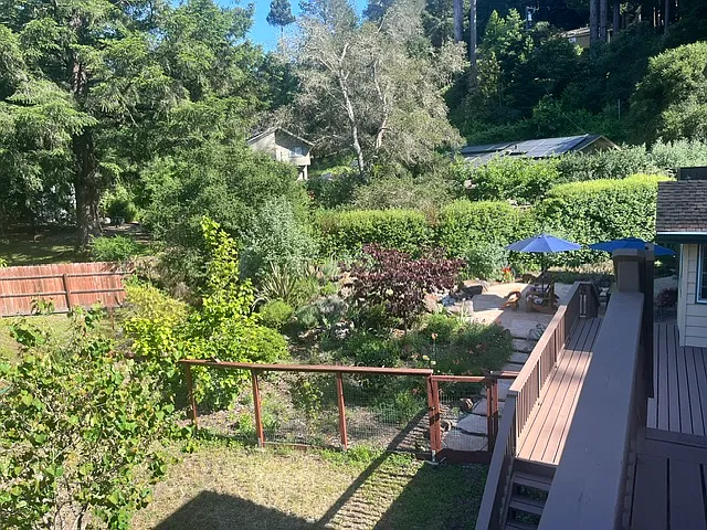 back yard