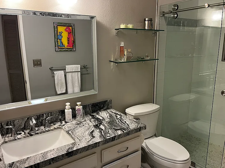 Guest bathroom, shower