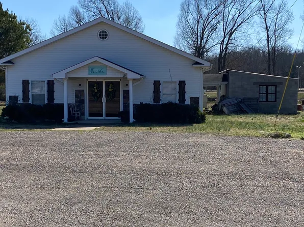 10366 Highway 100, Scotts Hill, TN 38374