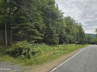608 S Shore Rd, Speculator, NY 12108