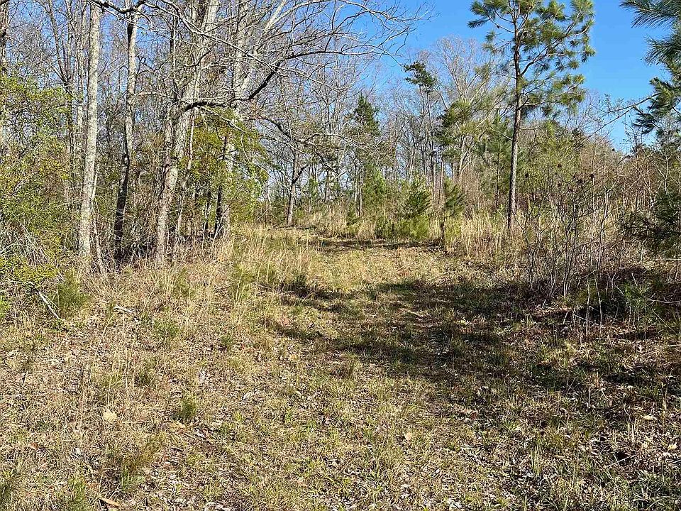 2nd image of Spunky Hollow Rd #1