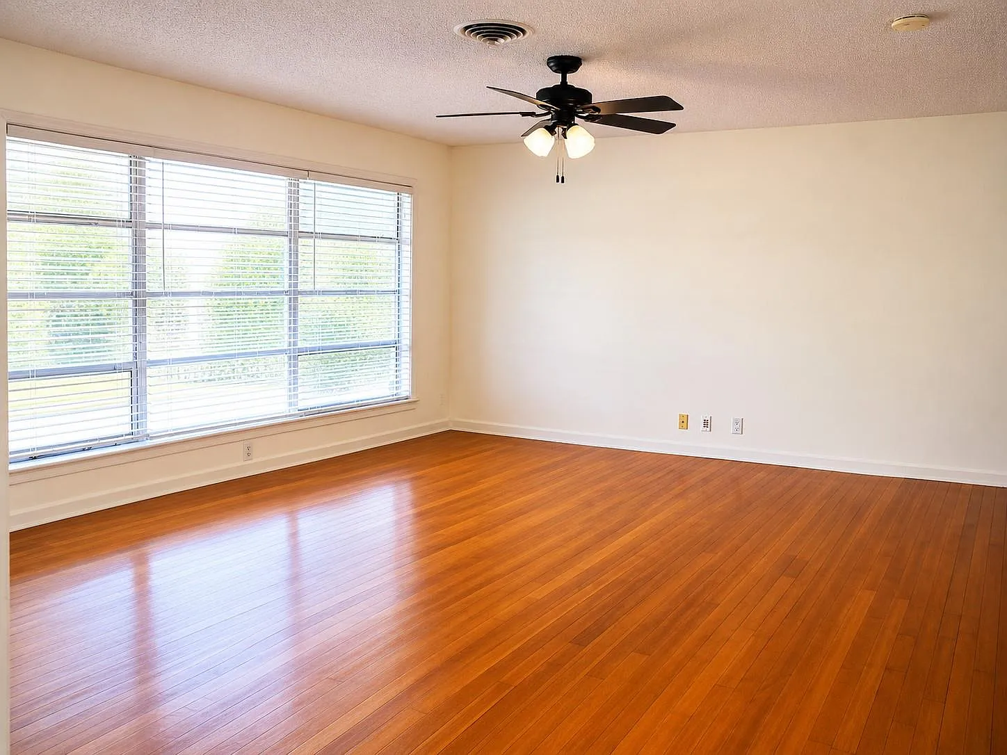 3 bed, 2.0 bath, 1786 sqft, $3,100 — Photo 4