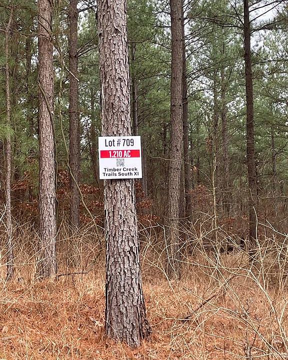 2nd image of 709 Timber Creek Trl