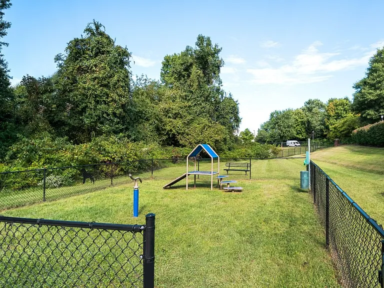 Alvista Bowie — Photo 19