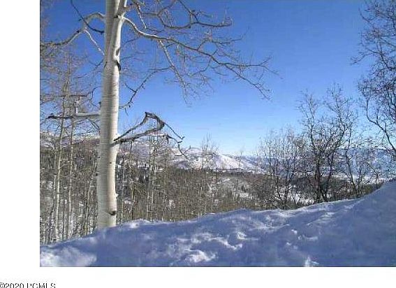 2nd image of 2241 Woodchuck Way