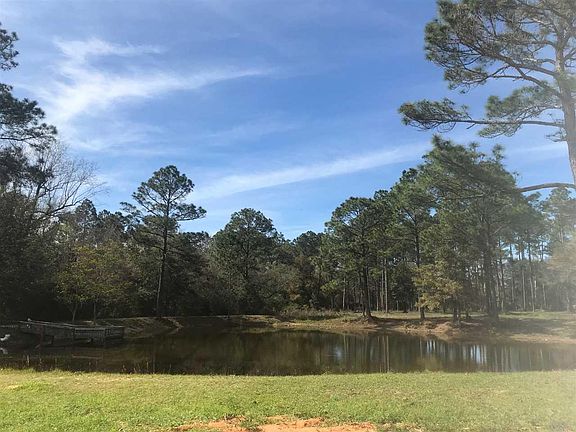 2nd image of 8115 Mobile Hwy
