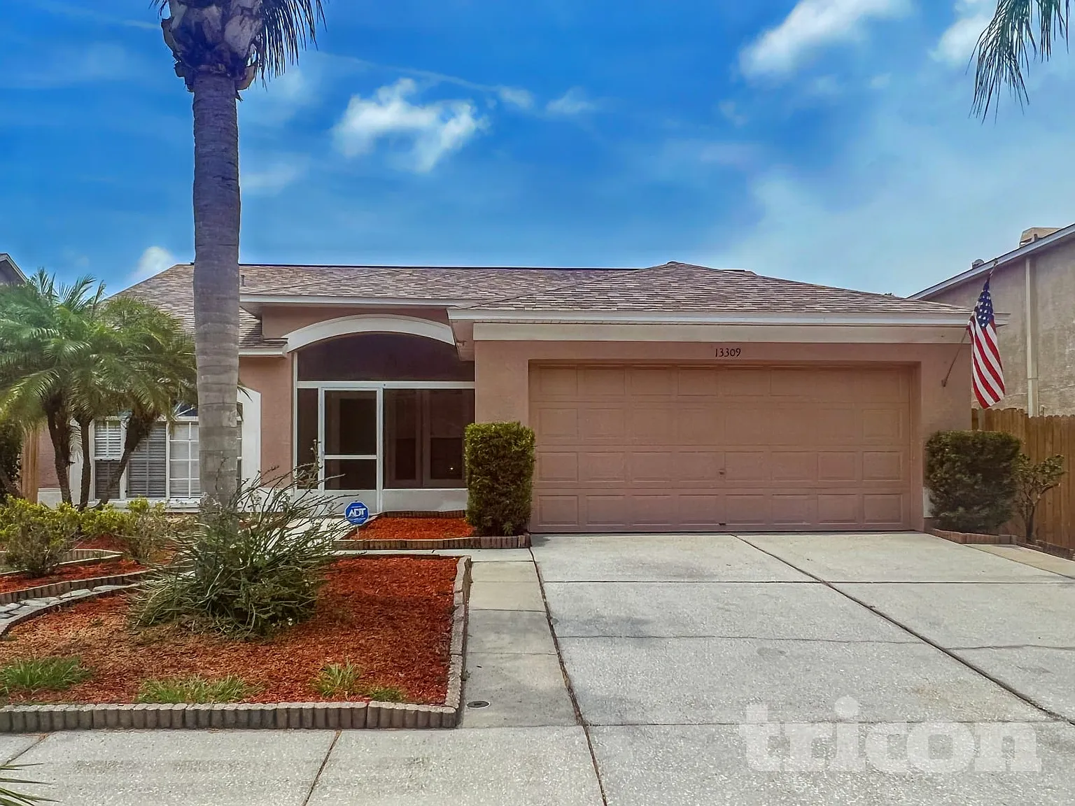 13309 Beechberry Drive Riverview FL — Photo 1