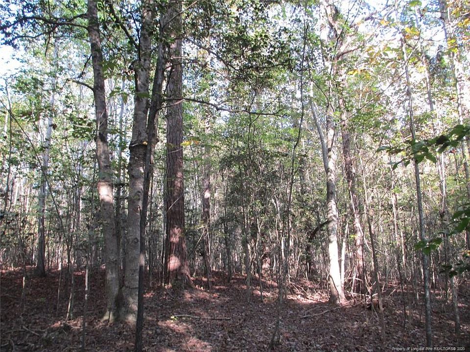 1st image of Hiawatha Trl