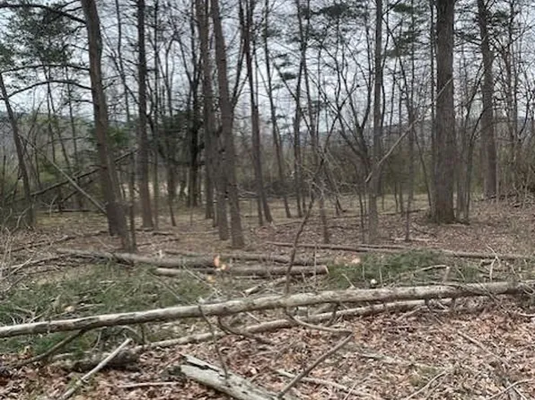 0 Punch Bowl Rd, Mercersburg, PA 17236