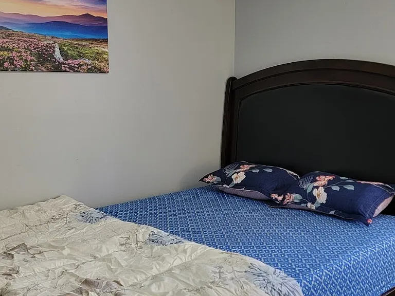 37 Alice Dr — Photo 5
