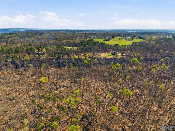 5th image of 8.03 Acres Bluff Ln