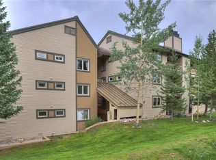 1001 Grandview Dr #9, Breckenridge, CO 80424