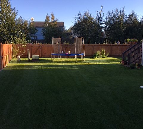 View from side yard