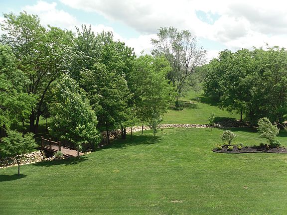 Backyard view from the house