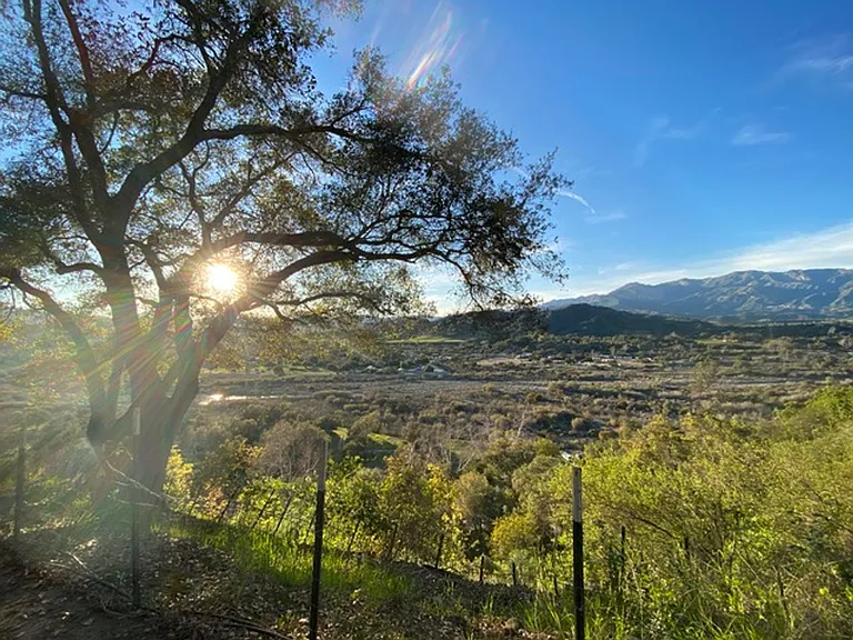 11051 Puesta Del Sol — Photo 17