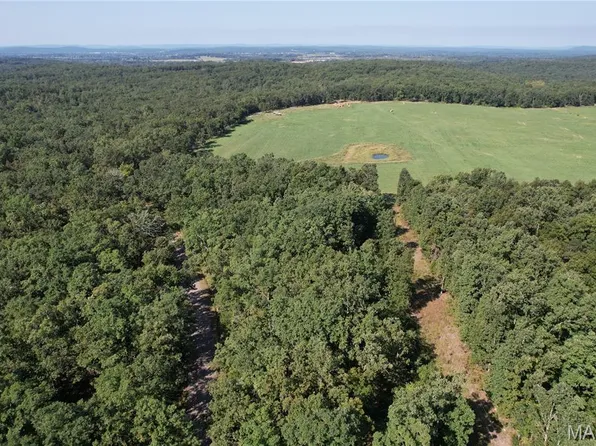 Off County Road 219, Fredericktown, MO 63645