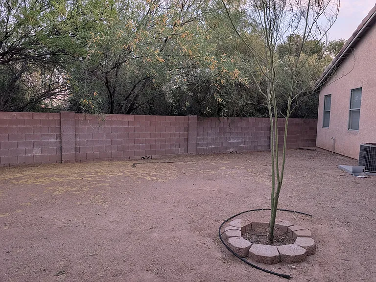 2637 W Junebug Pl — Photo 6