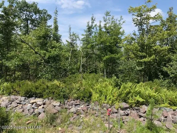 317R Blue Mountain Dr, Hazleton, PA 18202