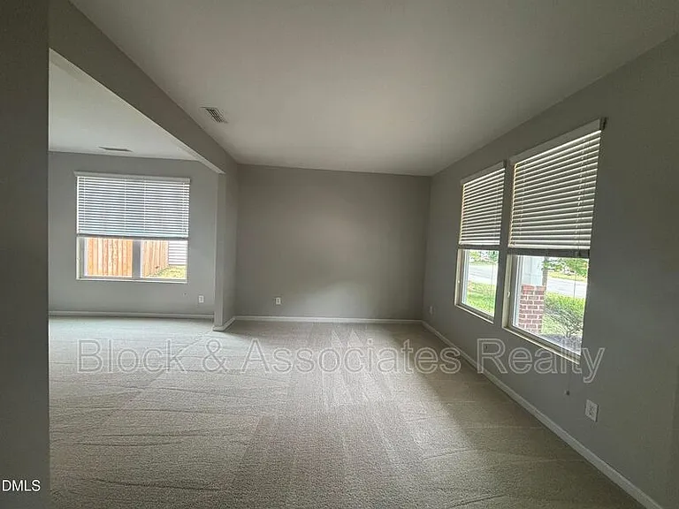 4 White Spruce Ct — Photo 10