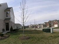 1st image of 3579 Thorngate Dr