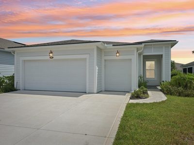 393 Ladyslipper Dr, Saint Johns, FL, 32259