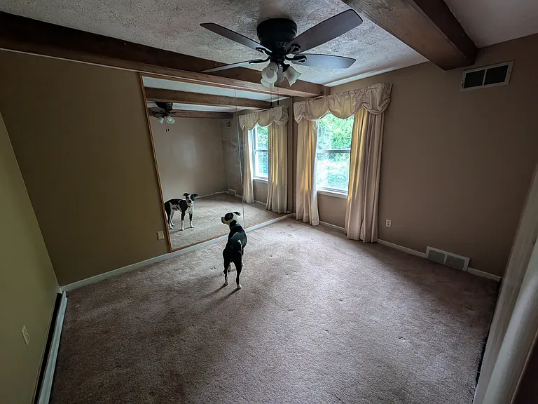 bedroom 2 and bear