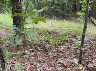 0 Gooch Rd LOT E, Eastman, GA 31023