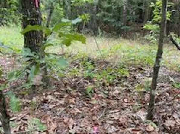 0 Gooch Rd Lot E, Eastman, GA 31023