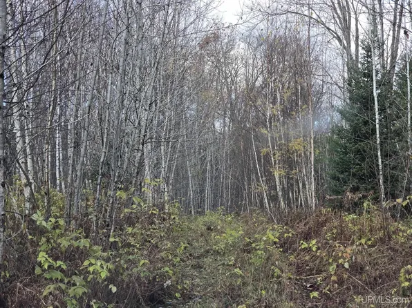 Fence River Rd, Republic, MI 49879