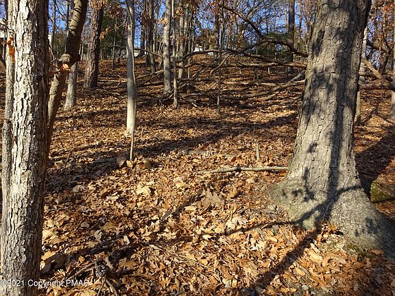 4th image of 86 Woodcrest Dr