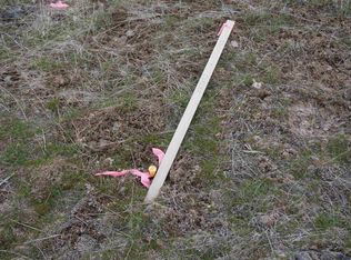 S Rock Lake Rd TRACT 2, Cheney, WA 99004