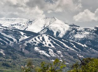 148 Tabula Rasa Ln, Aspen, CO 81611