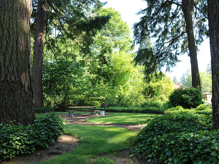 Picnic Area