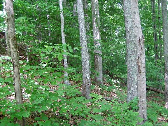 5th image of 0 Holiday Haven Rd Lot 18