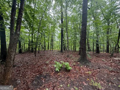 0 Hammond Dr, Toccoa, GA, 30577