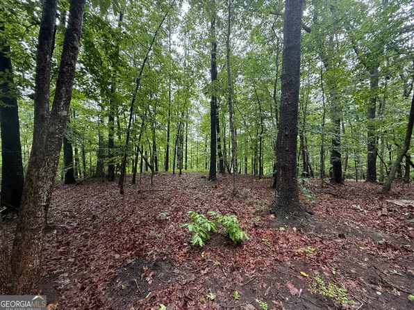 0 Hammond Dr, Toccoa, GA 30577